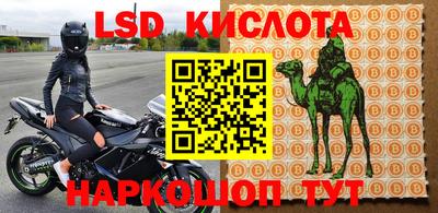 ECSTASY Новоалександровск