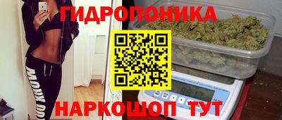 ECSTASY Новоалександровск
