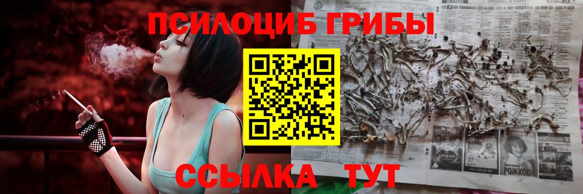 Галлюциногенные грибы Psilocybe  Галлюциногенные грибы мухоморы  Вход с VPN  Зеленодольск 